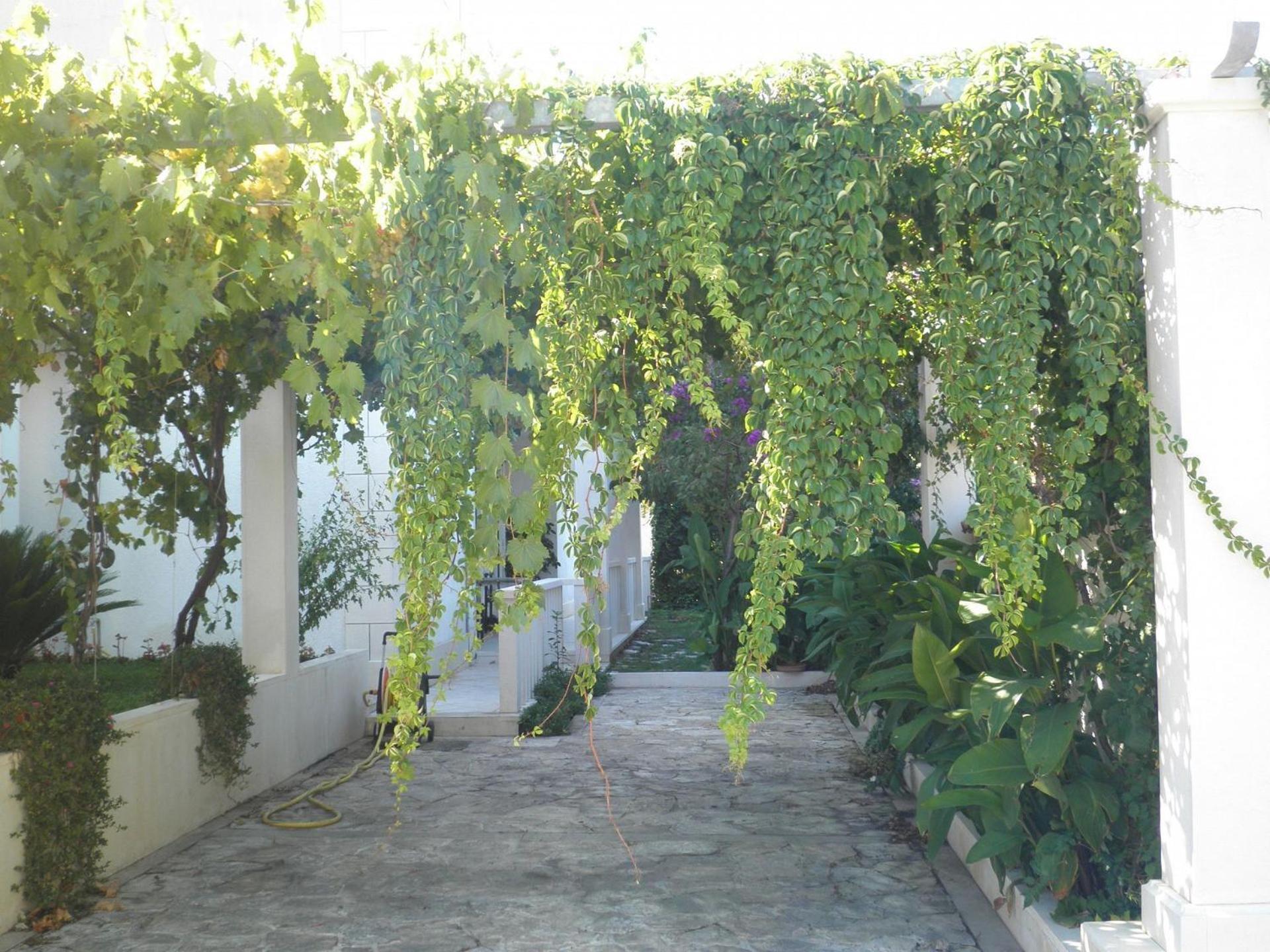 Apartment Aldica Supetar Exterior foto